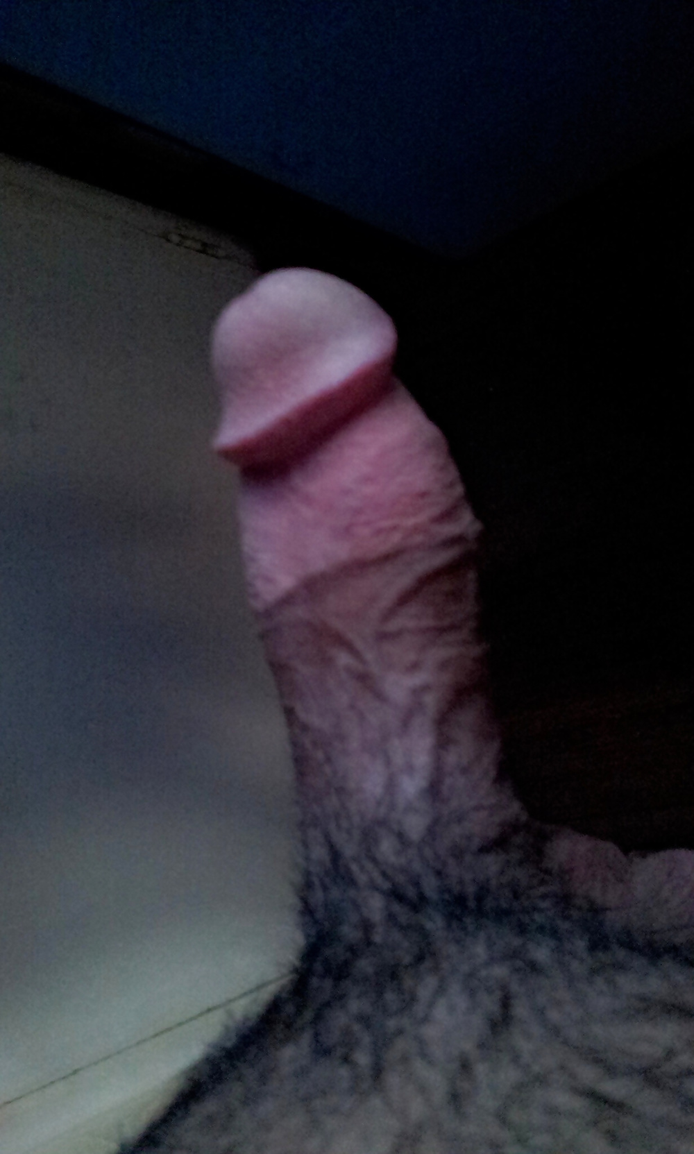 俺のチンコ
 #19503923