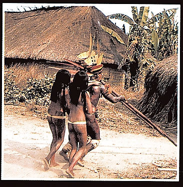 Amazon Tribes #3641006