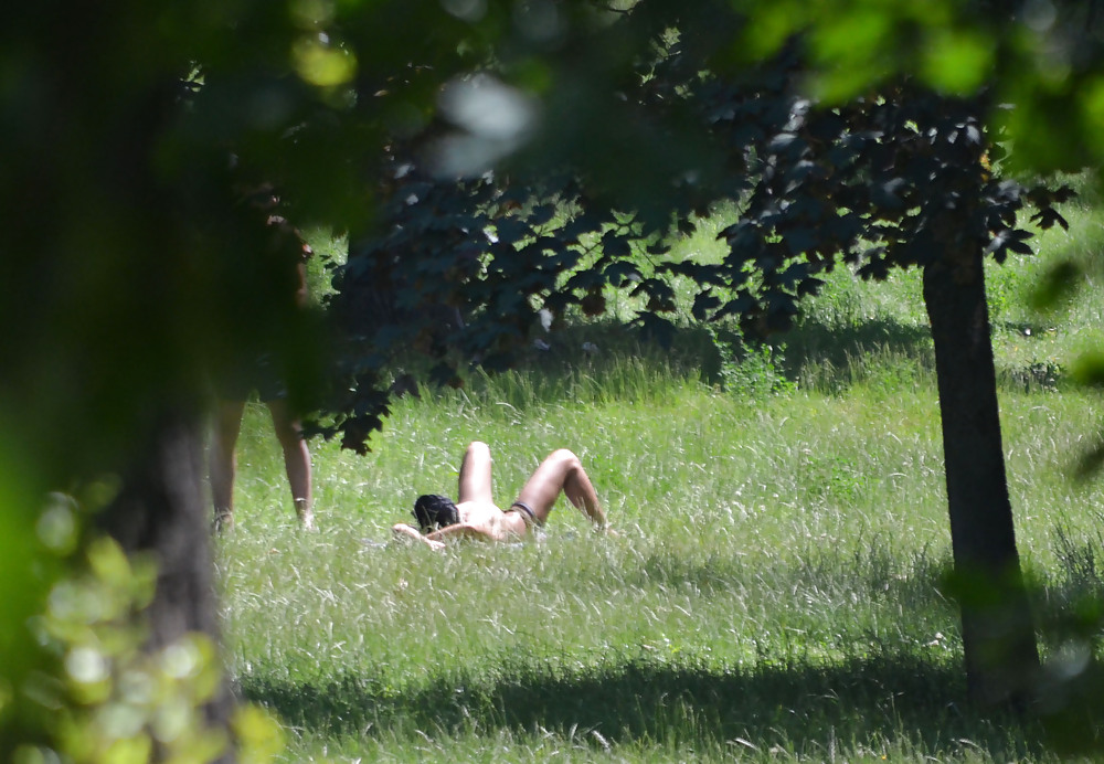 Milf sunbathe in the park #19059467