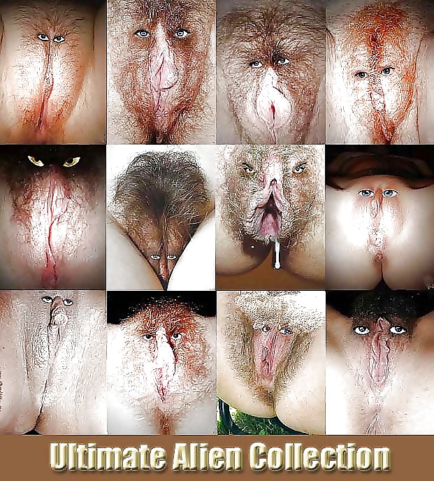 Ultime Collection Alien #8926675