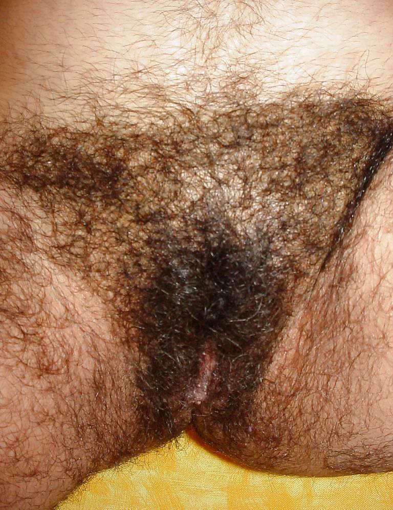 Mexican Hirsute Queen - 5- 5of9 #6026828