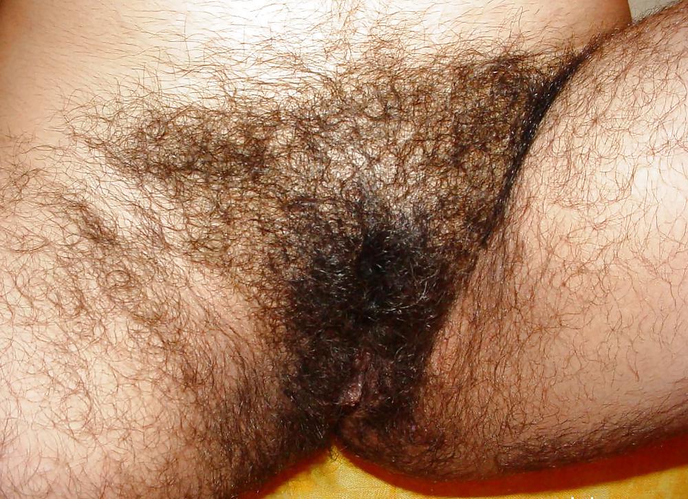 Mexican Hirsute Queen - 5- 5of9 #6026896