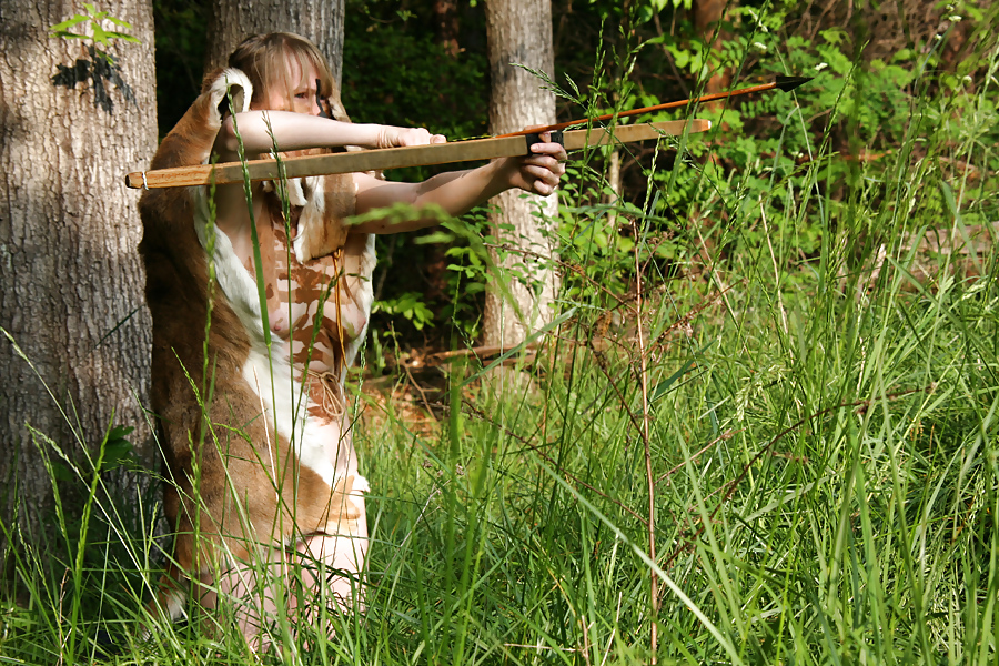 Scenes From The Woods #9707949