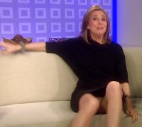 Meredith Vieira Fakes