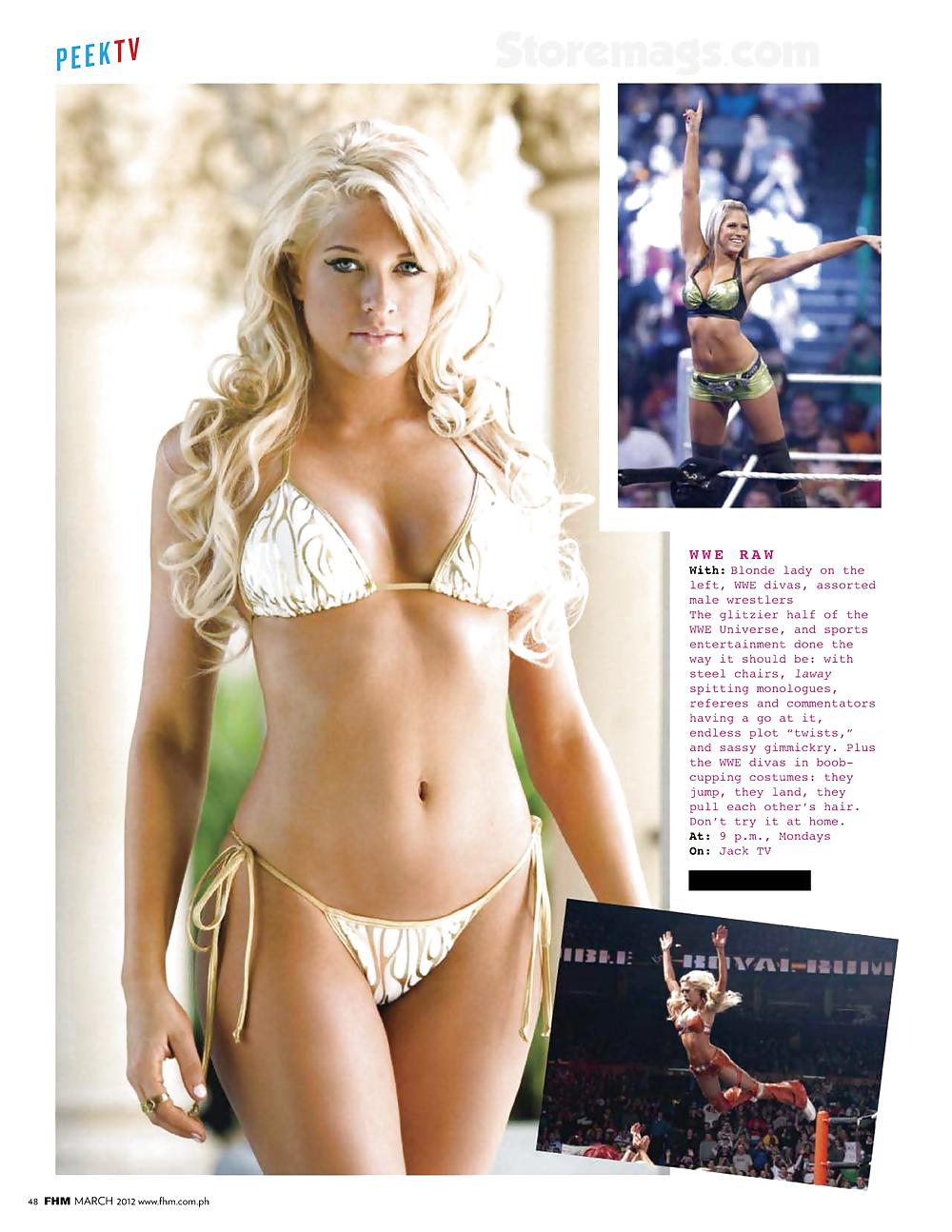 Kelly Wwe Diva Mega Collection 2 #7380428