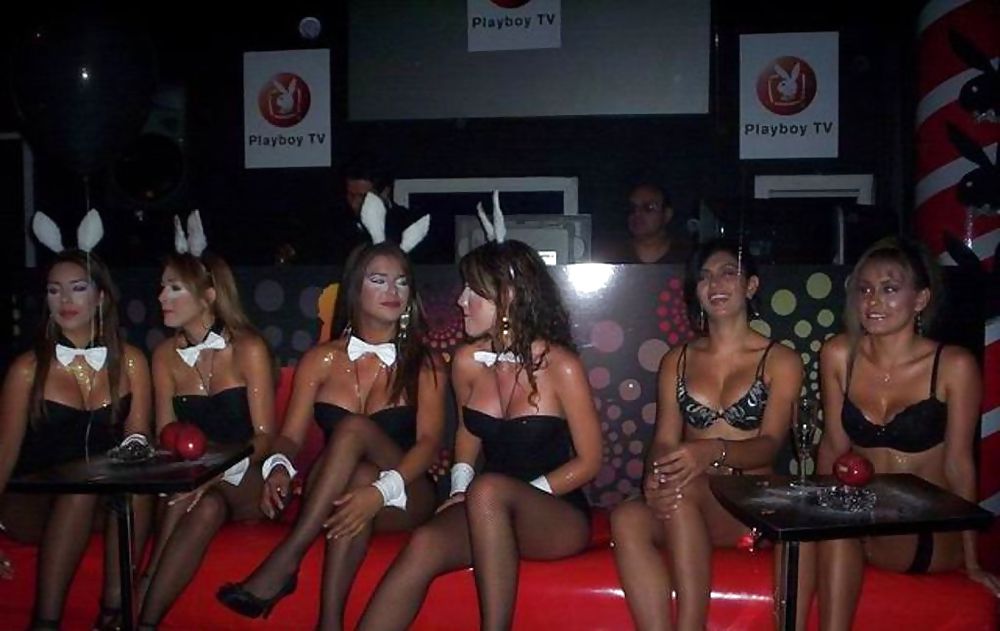 Bunny babes #9610042