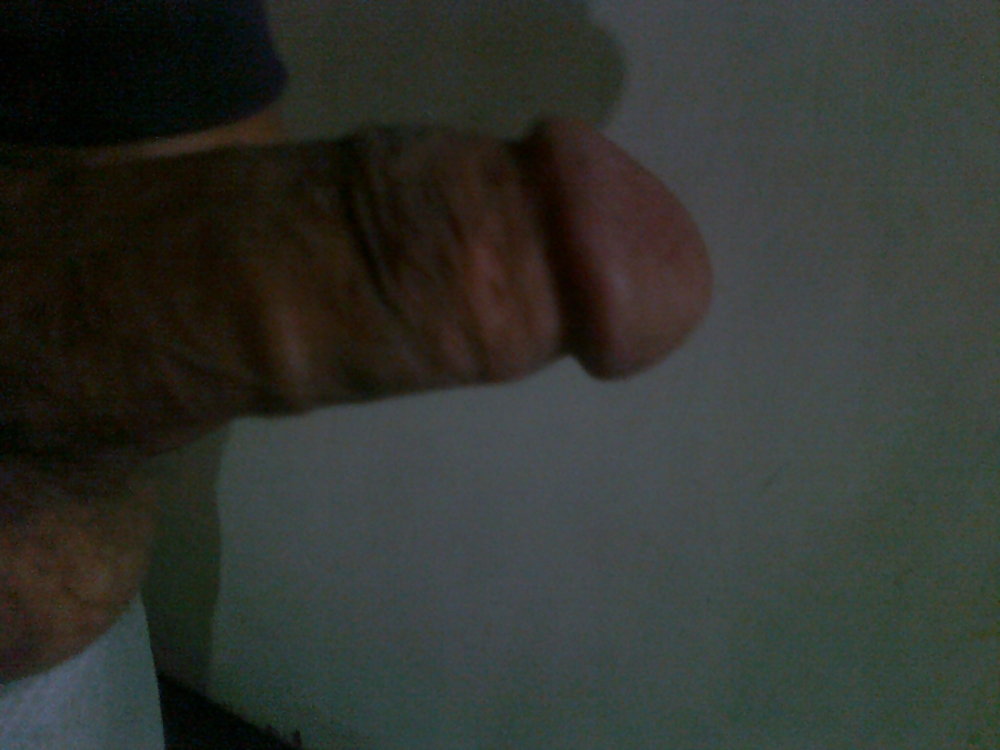 My cock  #2216251