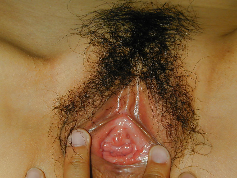 Sexy wixvorlage #8877420