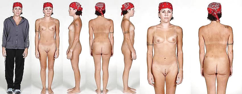 BODY TYPES C5M #11346638