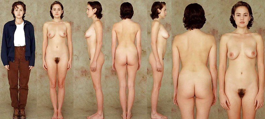 BODY TYPES C5M #11346653