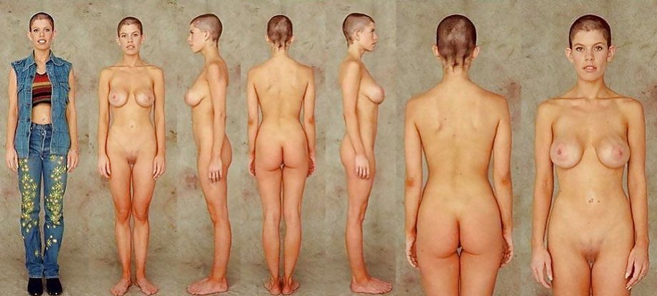 BODY TYPES C5M #11346953