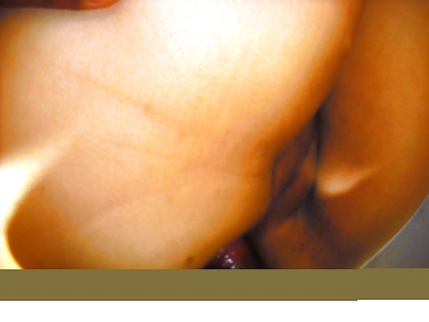 アドベンチャー・ピゾロロ
 #14168650