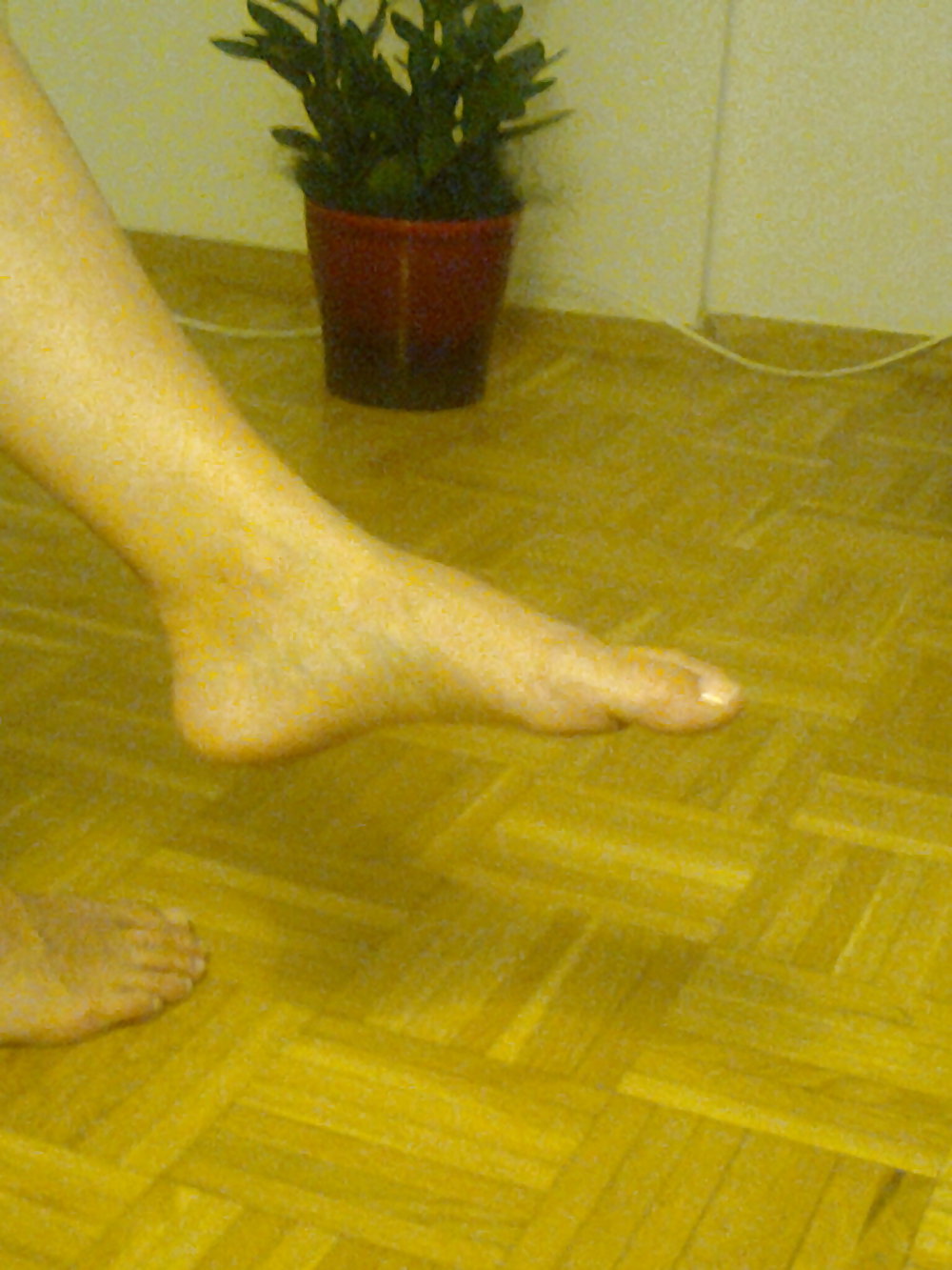 隠れていたヒッピーが姿を現す
 #20932380