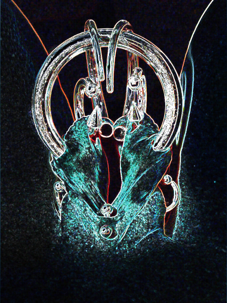 Pornographic Pc Art work #9561296