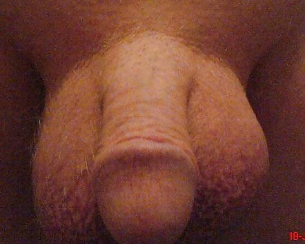 My cock for you #4412298