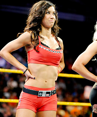 AJ Lee #10511865