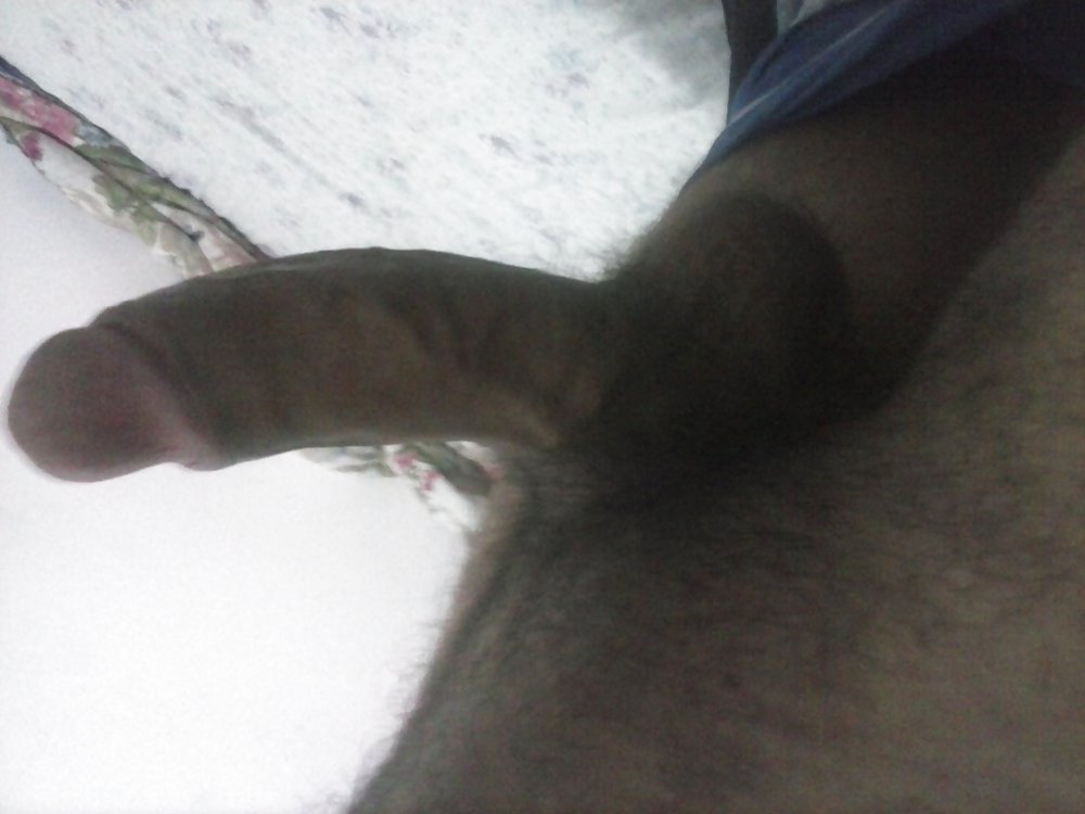 My cock #21745530