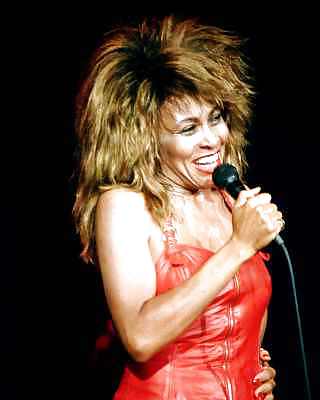 Tina Turner #16094193