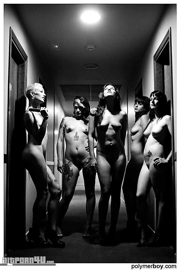Hotel Party Drama Queens #21615481