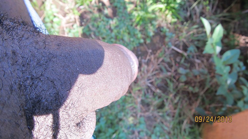 サニーディライト
 #19976808