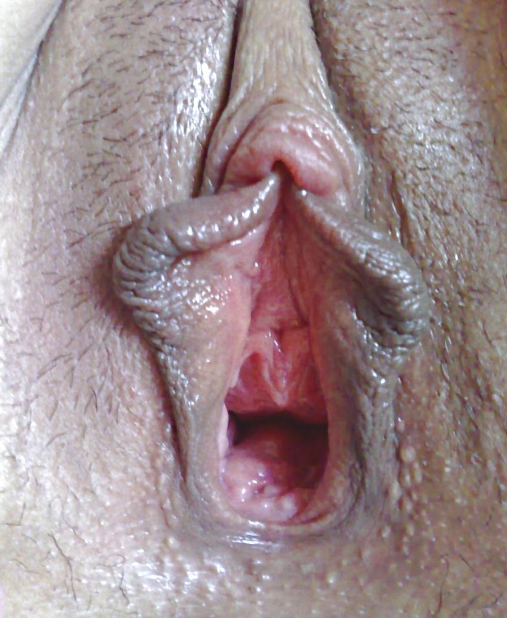 Amateur pussy 3 #8922531