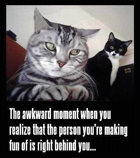 面白い
 #20467072