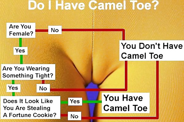 Camel toe #6278448