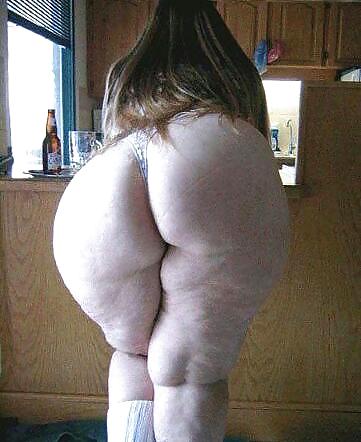 Fat and chubby asses #12966999