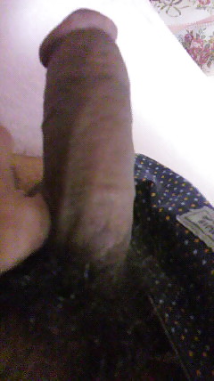 My cock #3750621