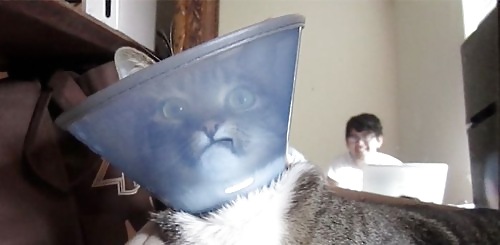 ...internet ...found.. ...interesting... ..bleh. 4 #3967600