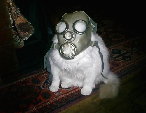 ...internet ...found.. ...interesting... ..bleh. 4 #3967636