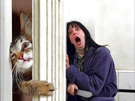 ...internet ...found.. ...interesting... ..bleh. 4 #3967732