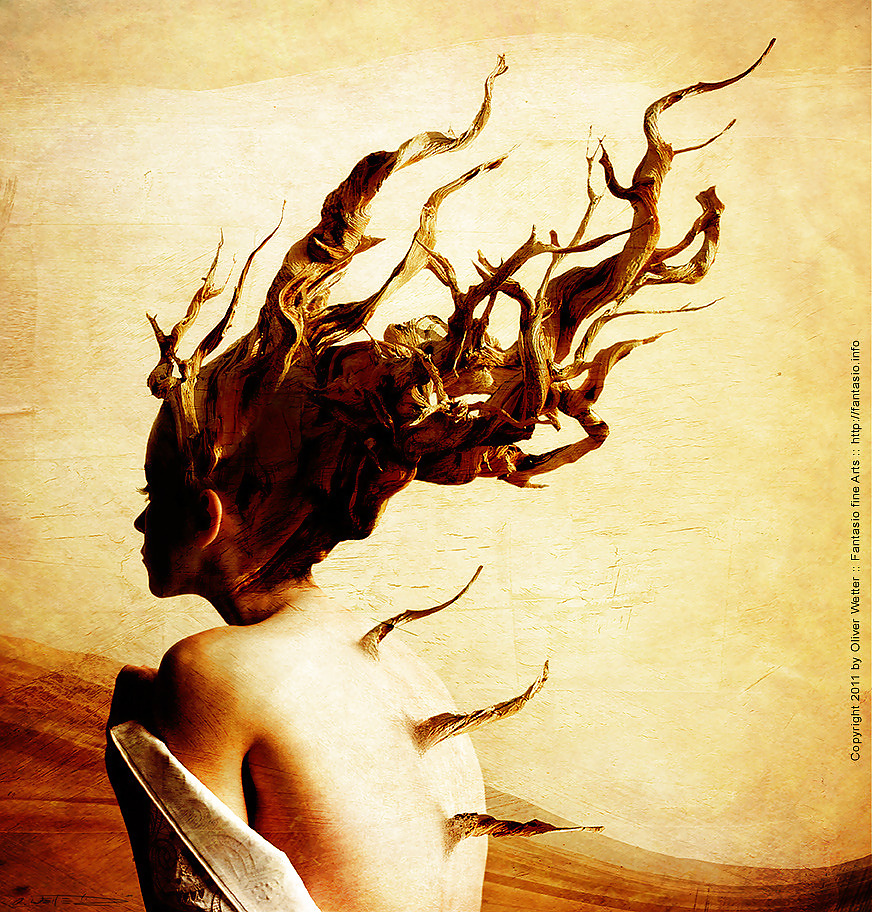 Lágrimas congeladas
 #14354771