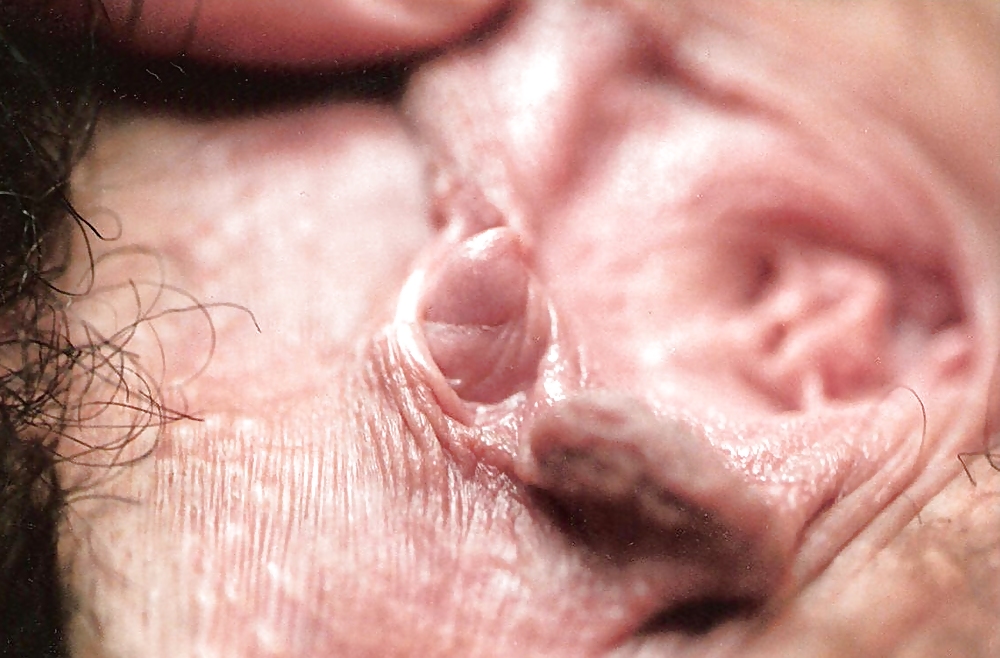 Dirty Madelaine #3858259