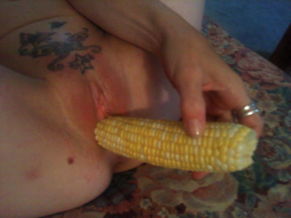 Corn on the cob :) #19528314