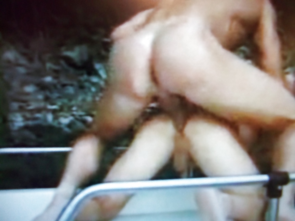 Cock #3549635