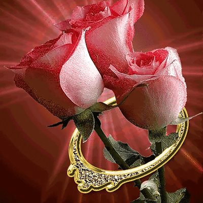 Rosas románticas para tus amantes y amigos
 #5651998