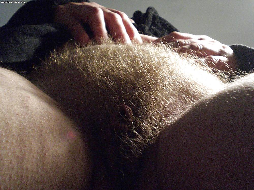 Hairy pussy 2 #19339216