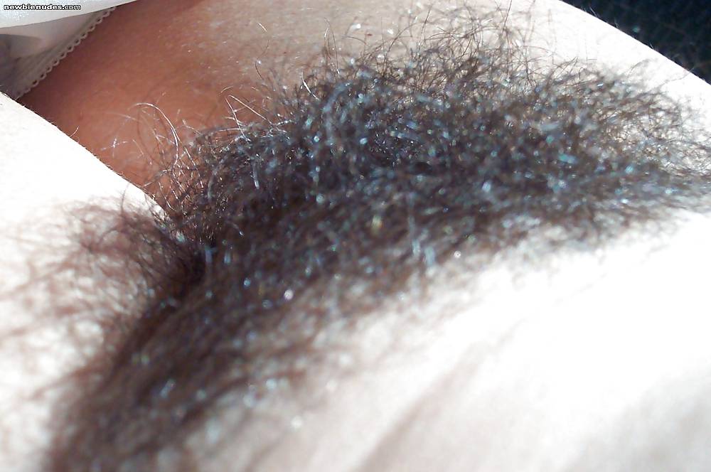 Hairy pussy 2 #19339255