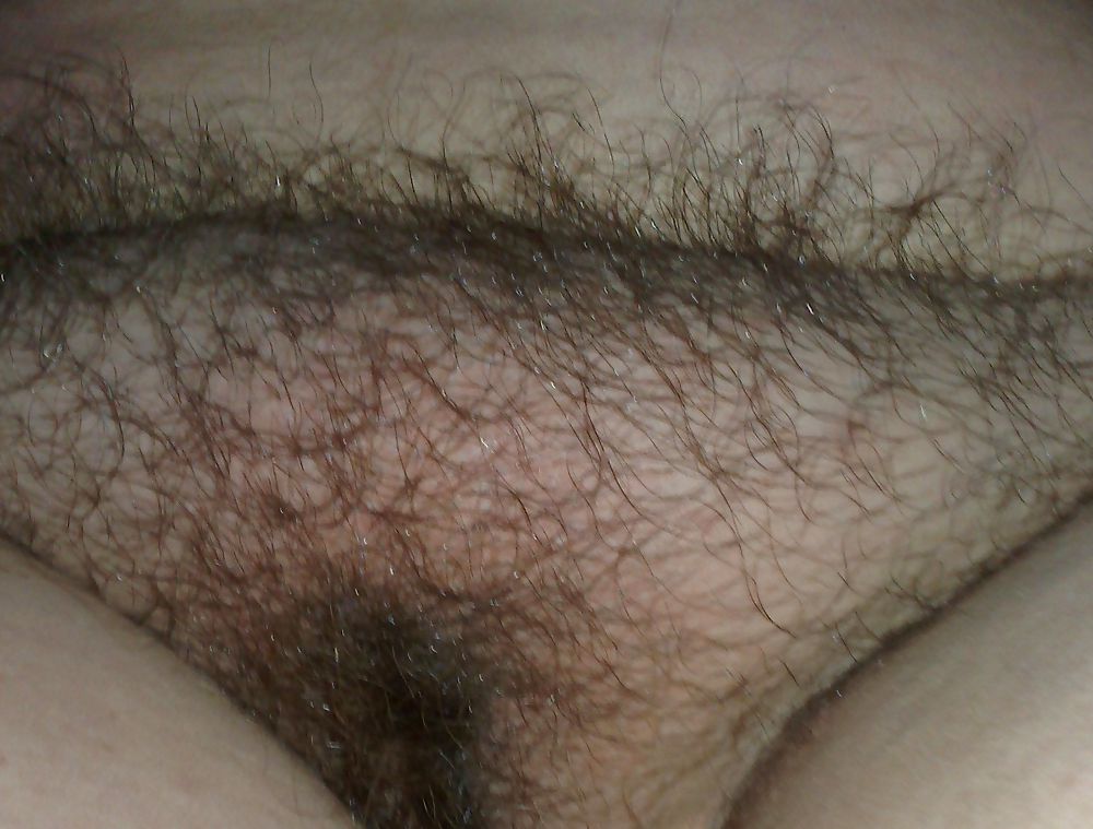 Hairy pussy 2 #19339383