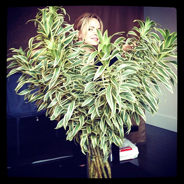 Mena Suvari mega collection 5 #13685115