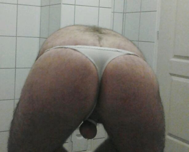 Ass Ass Ass #14708562