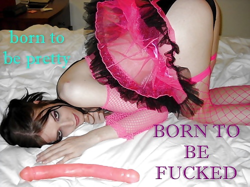 I will always be a sissy #22781287