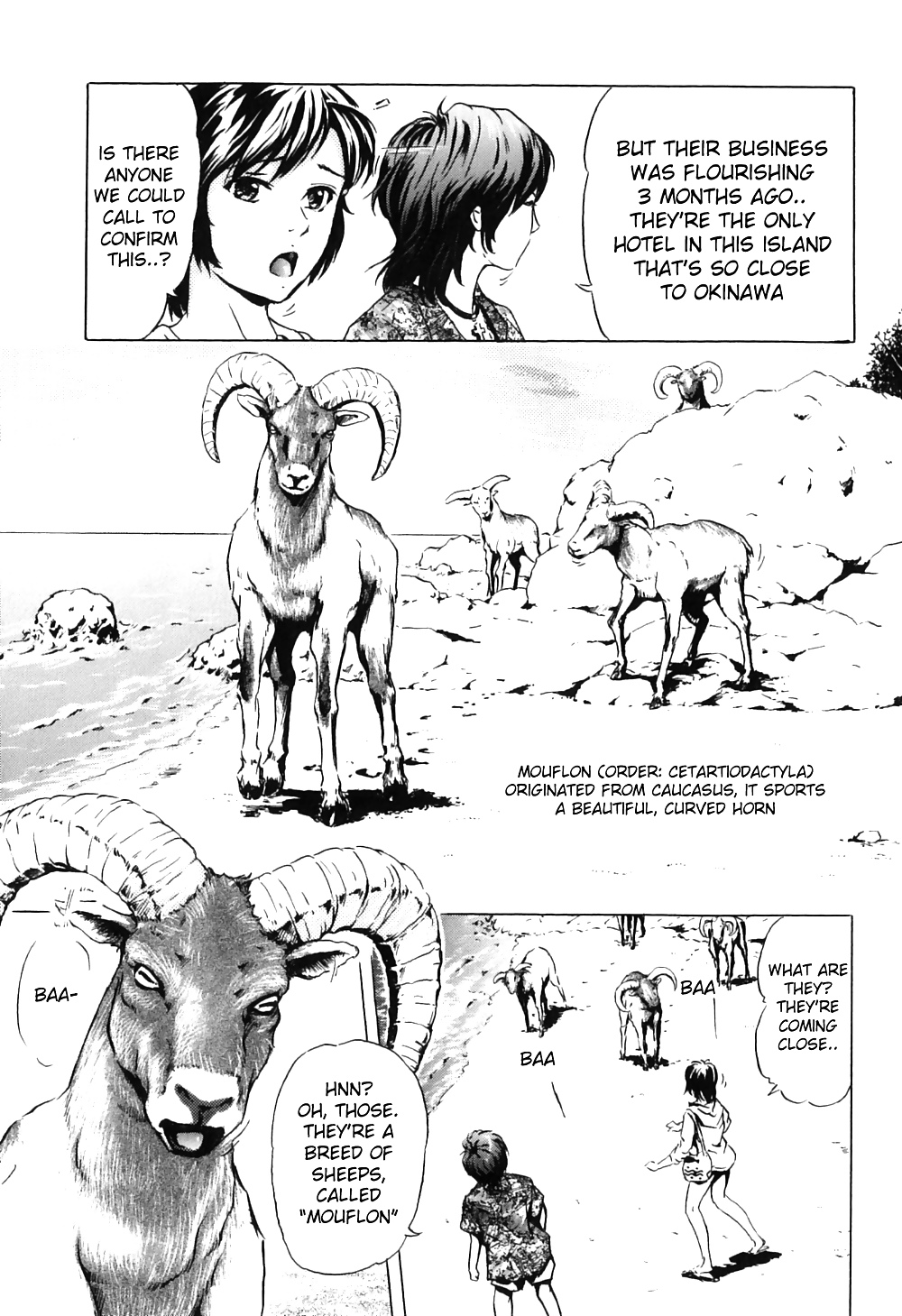 Kemono For Essential #19059271