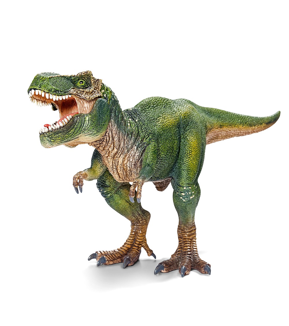 Stop That! You'll go Extinct! #14531854