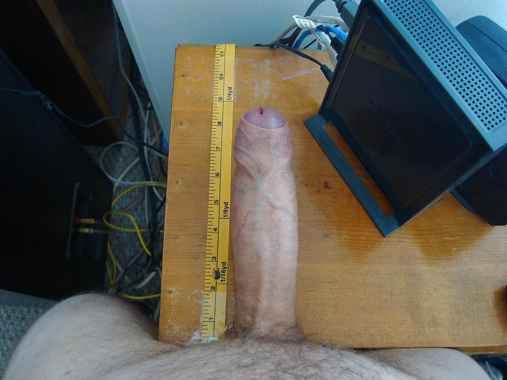 My Equipment #16135477