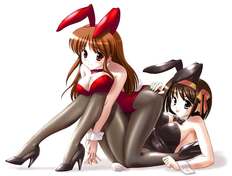 Bunny girls hentai #7104311