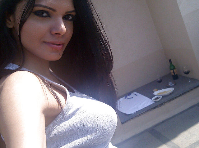 Sherlyn Chopra Mega Collection #14433725