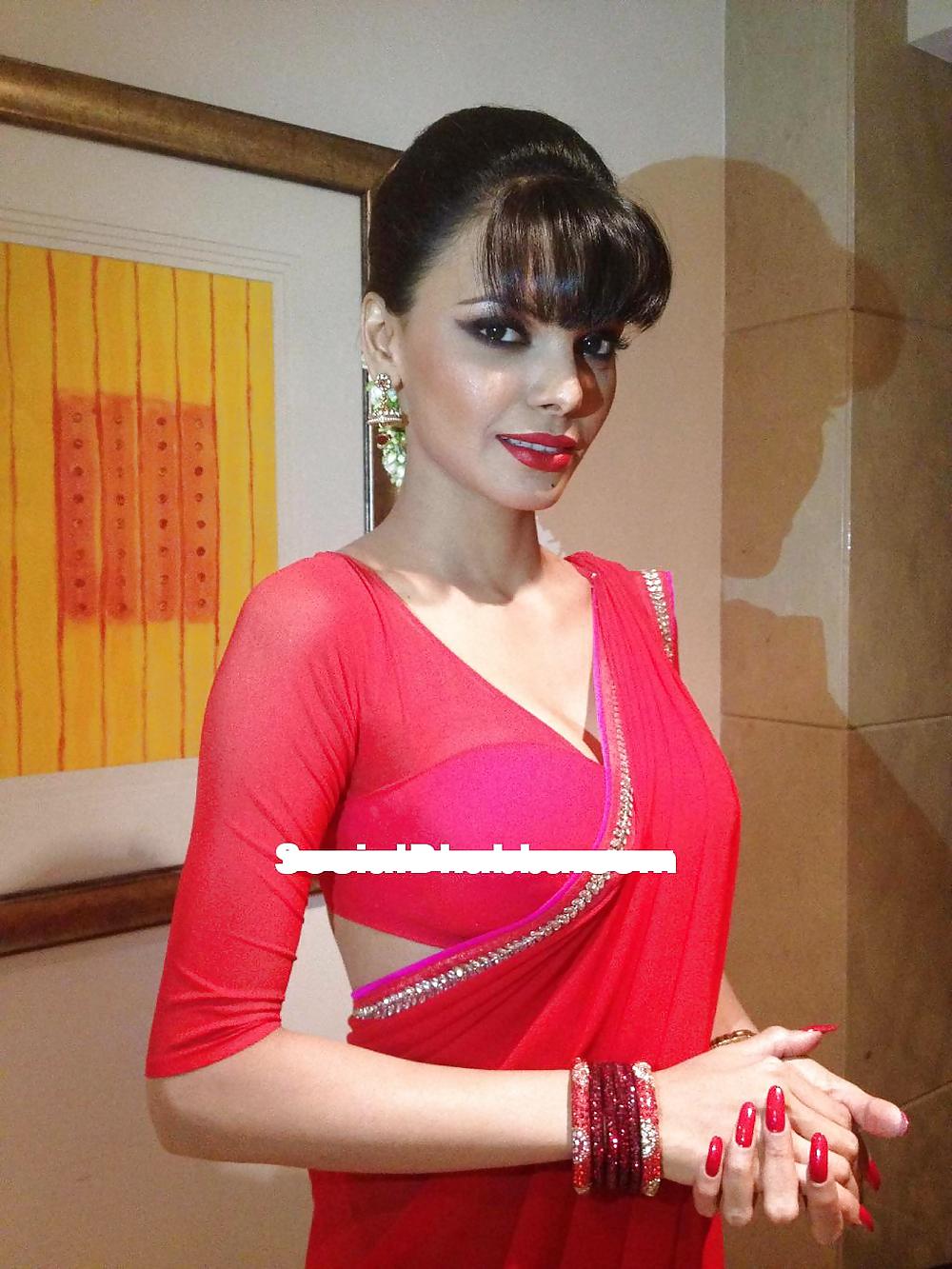 Sherlyn Chopra Mega Collection #14433954