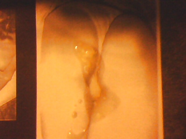 Brunamartina #4192675